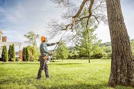 Seasonal Cleanup (Spring/Fall) in Eastlake, OH